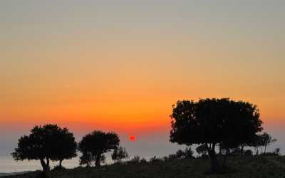 Wycieczka fakultatywna, Marathon [108] Jeep Safari - Narodowy Park Akamas z Protaras