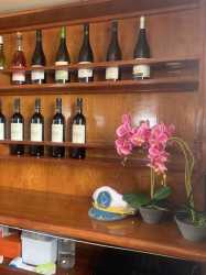 !tr_error=pl->rejs!, Dream of Turtles ST Georgios II rejs poranny z Protaras - marzenie zobaczyć żółwie dla rodzin