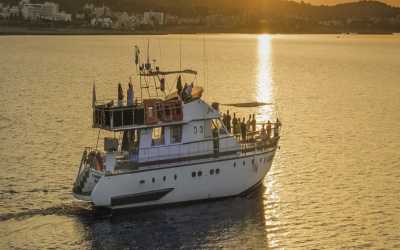 !tr_error=pl->rejs!, Dream of Turtles ST Georgios II rejs poranny z Protaras - marzenie zobaczyć żółwie dla rodzin