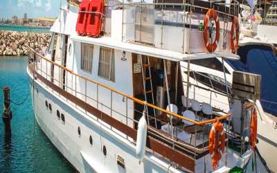 Wycieczka jednodniowa, Wycieczka Dream of Turtles ST Georgios II rejs poranny z Salamis, Bafra - marzenie zobaczyć żółwie dla rodzin