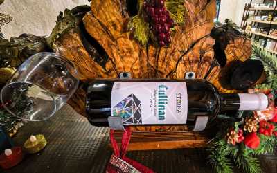 Wycieczka jednodniowa, Wycieczka Szlakiem Cypryjskich Winnic - Sterna Winiarnia